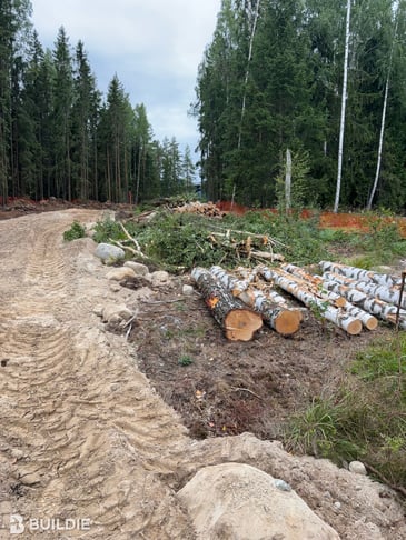 1508354_1100 Olevat rakenteet ja rakennusosat-1110 Kasvillisuus-